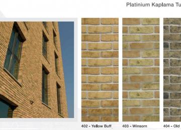 Platinium5
